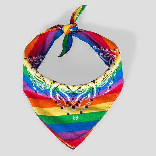 Pride Bandana Paisley Floral Regenbogen Halstuch 55 cm x 55 cm