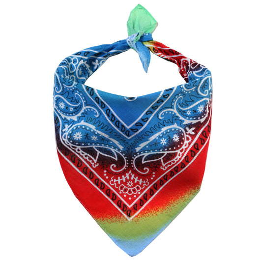 Bandana Halstuch Tie Dye Paisley Floral Regenbogen 55 cm x 55 cm